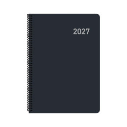 AGENDA 2027 INGRAF "ROMA"...